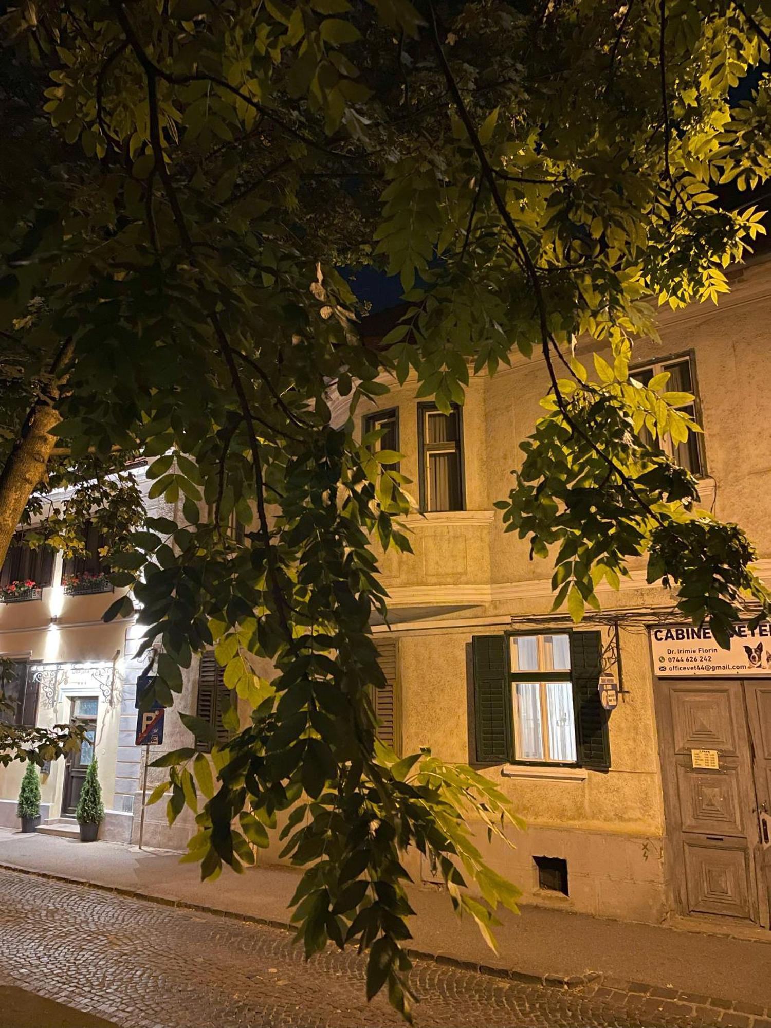 סיביו Studiopro44 מראה חיצוני תמונה